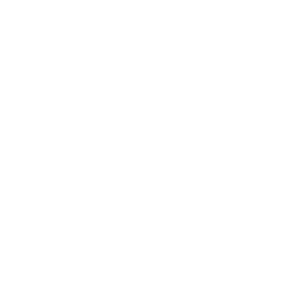 DUB STORE SPECIAL