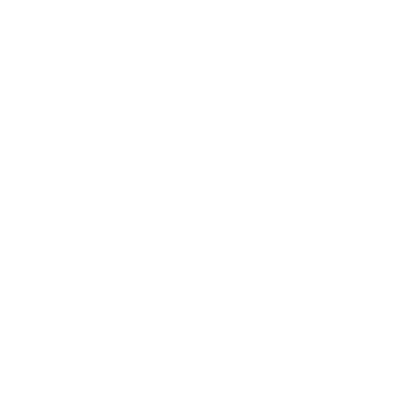 zion disc